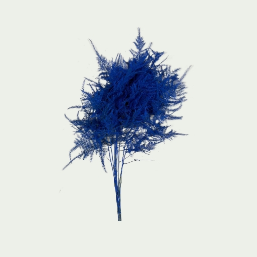 Picture of Asp Dark Blue 
