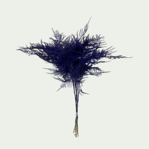 Picture of Asp Dark Purple 