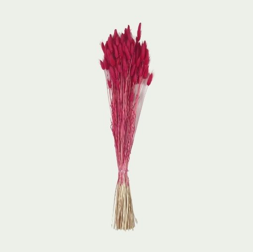 Picture of LAG Cerise 