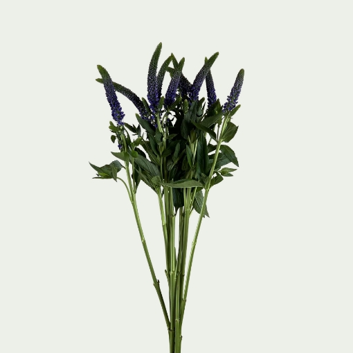 Picture of Smart Navy