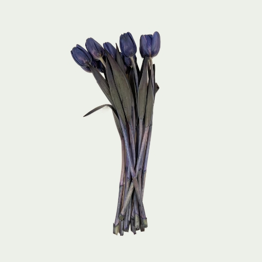 Picture of pastel violet simple