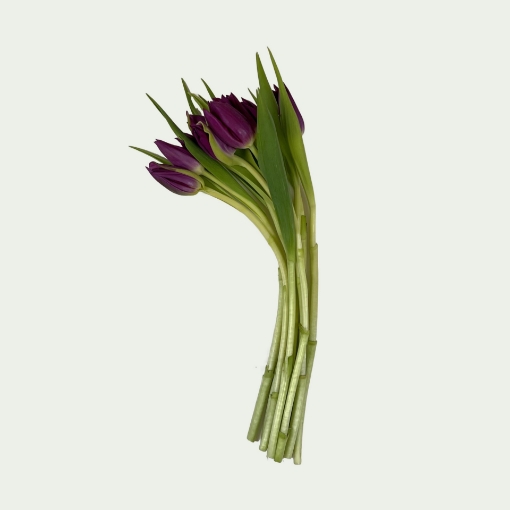 Picture of Purple Valley Simple