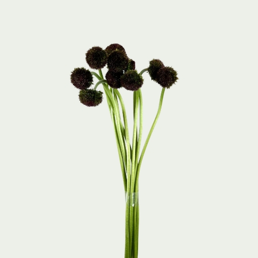 Picture of Marimo Dark Simple