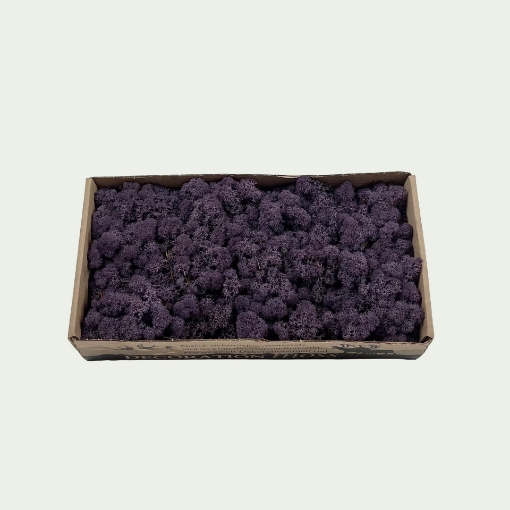 Picture of Aubergine Simple