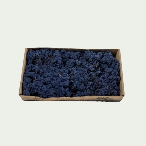 Picture of Blue Simple