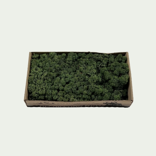 Picture of Green Simple