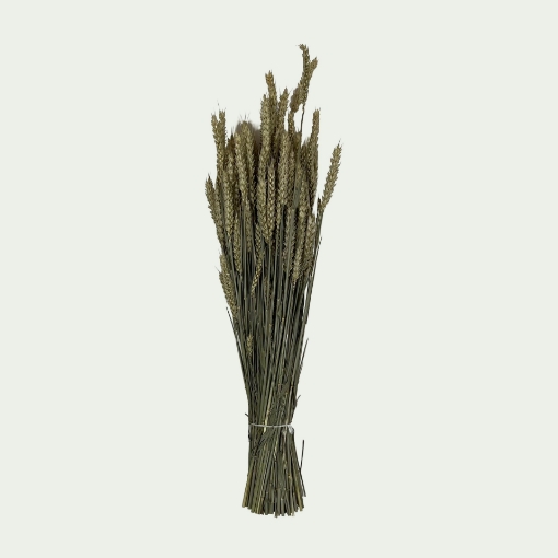 Picture of TRI Natural Simple