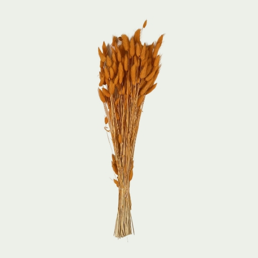 Picture of LAG  Orange Simple