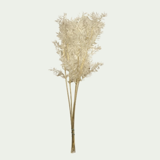 Picture of RUS Bleach Simple