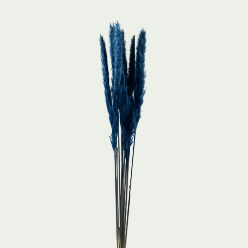 Picture of PAM Silvy Blue Simple