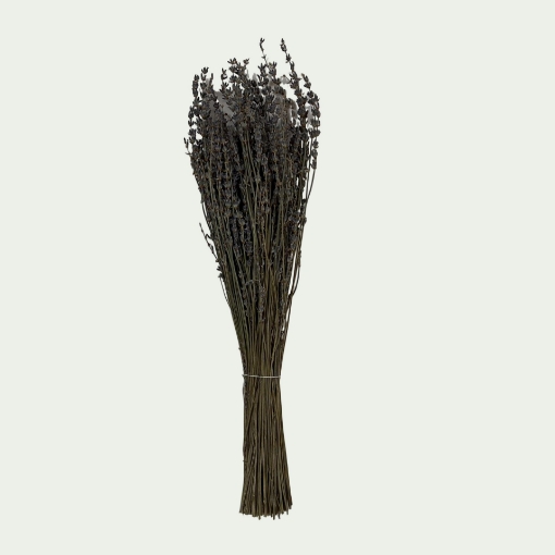 Picture of Lavender Simple 