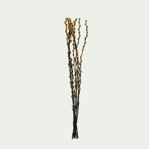 Picture of Willow Orange