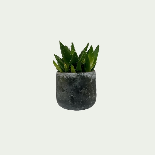 Picture of IPG 31 Simple