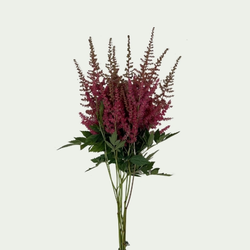 Picture of Else