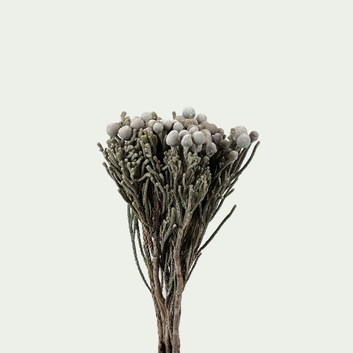Picture of Brunia Silver Simple