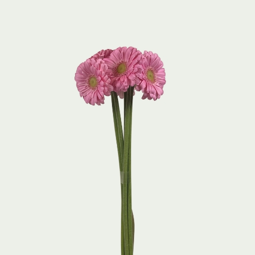 Picture of Loveme