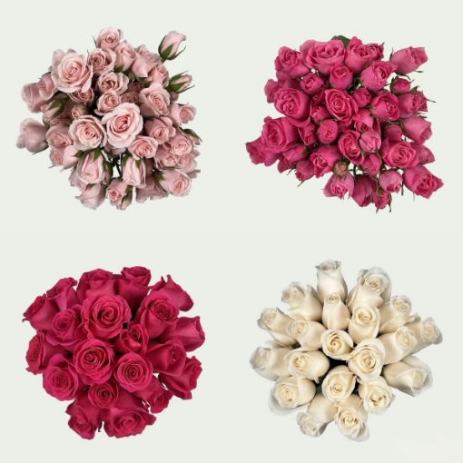 Picture of Pretty in pink