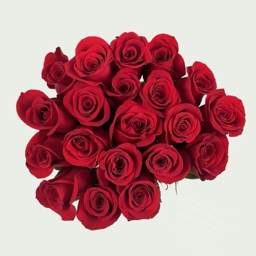 Picture of Amour