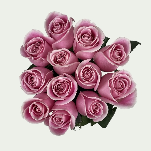 Picture of Sweetheart