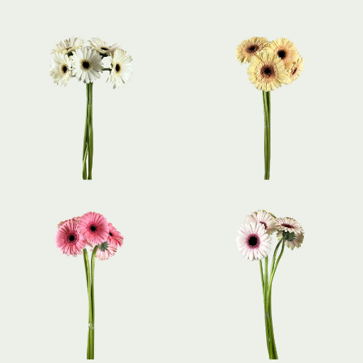 Picture of Floral
