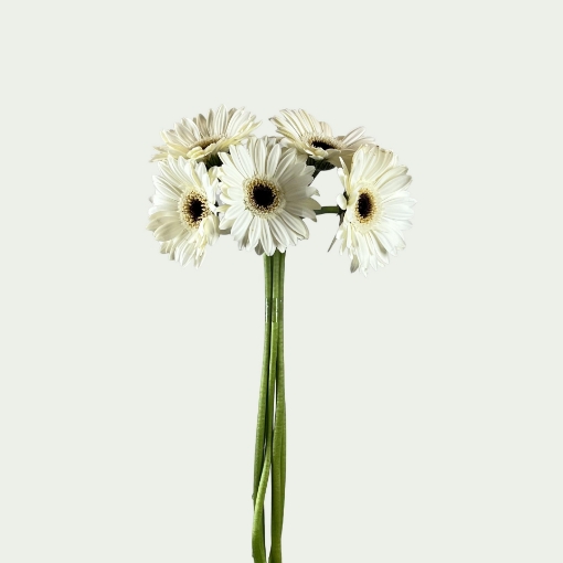 Picture of Floral