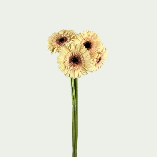 Picture of Floral