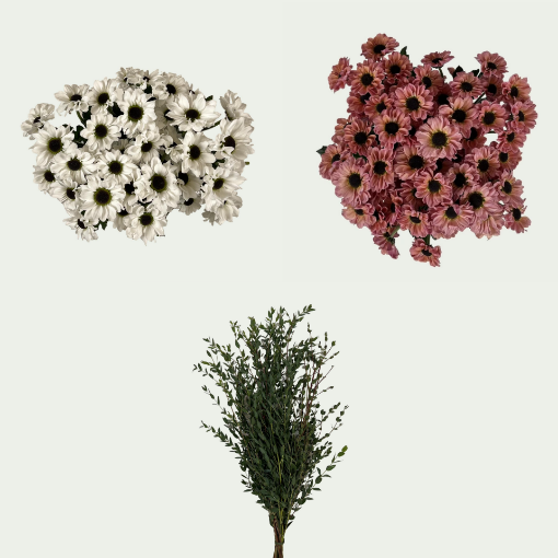 Picture of Polka Dots
