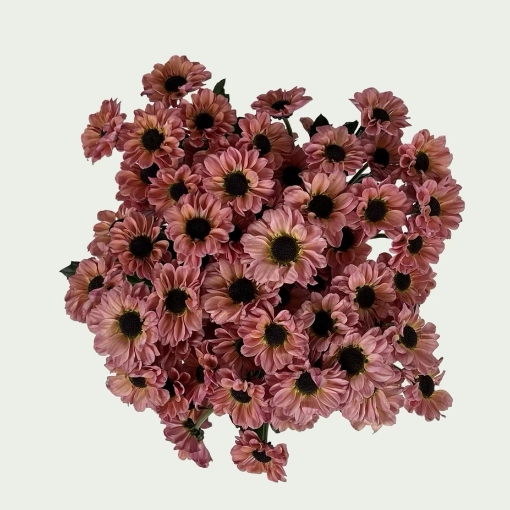 Picture of Polka Dots