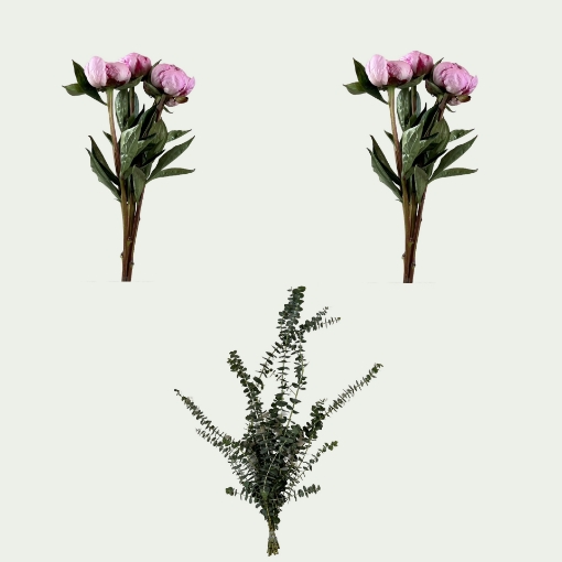 Picture of Sweet Peony