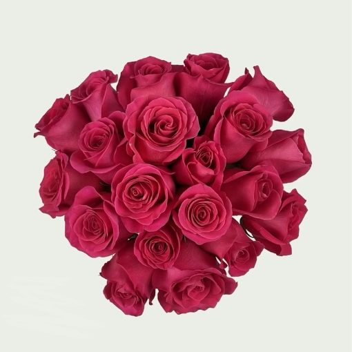 Picture of Pink Love