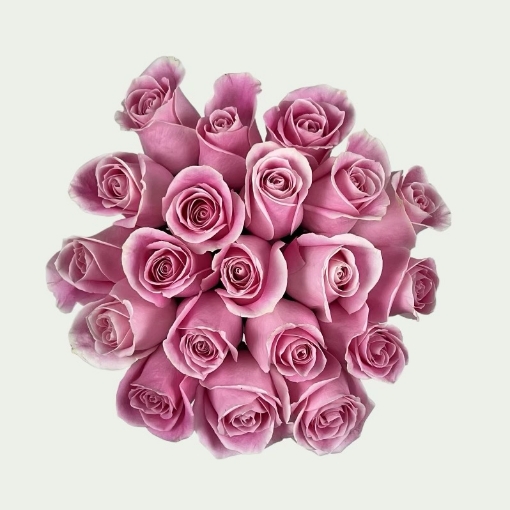 Picture of Pink Love