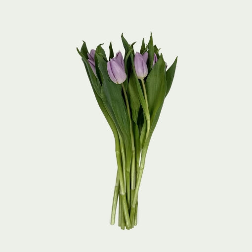 Picture of Lilac