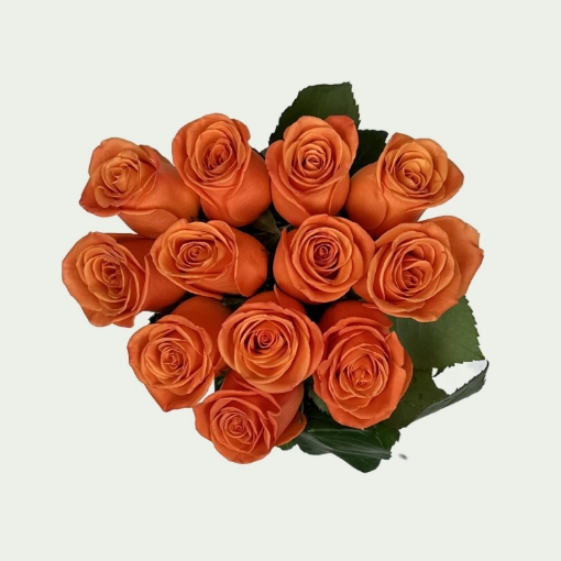 Picture of Orange Crush S