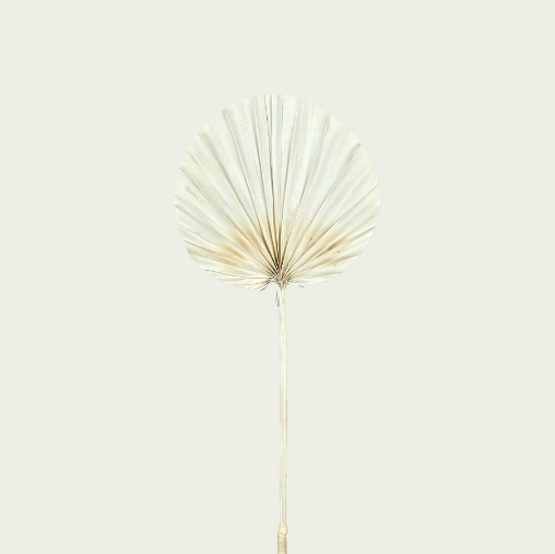 Picture of Palm Round