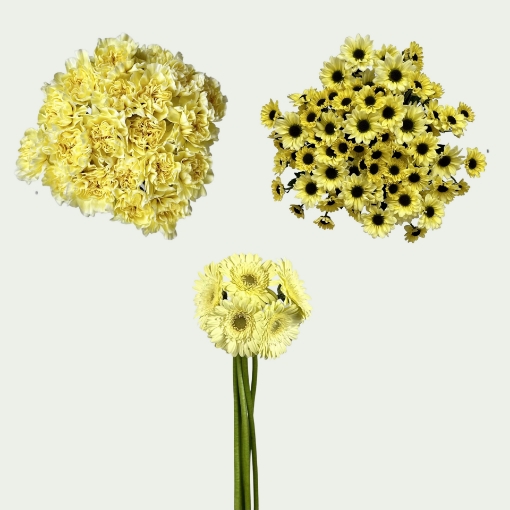Picture of Lemony 