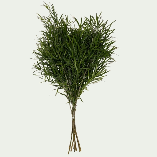 Picture of Falactus