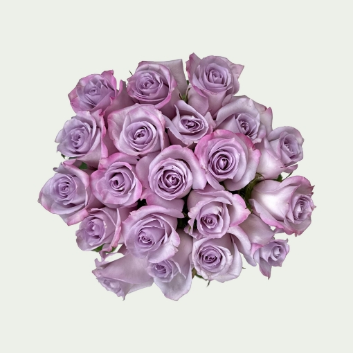 Picture of Purple Haze
