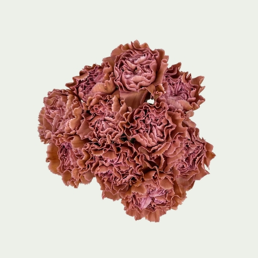 Picture of Pink Brownies