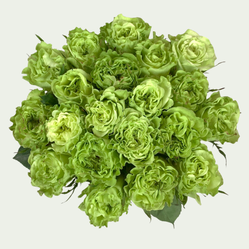 Picture of Super Green