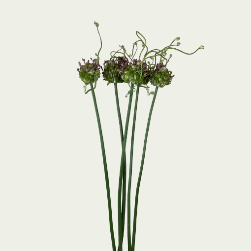 Picture of Green Drops
