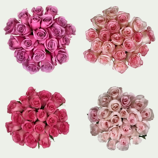 Picture of Pink Dream