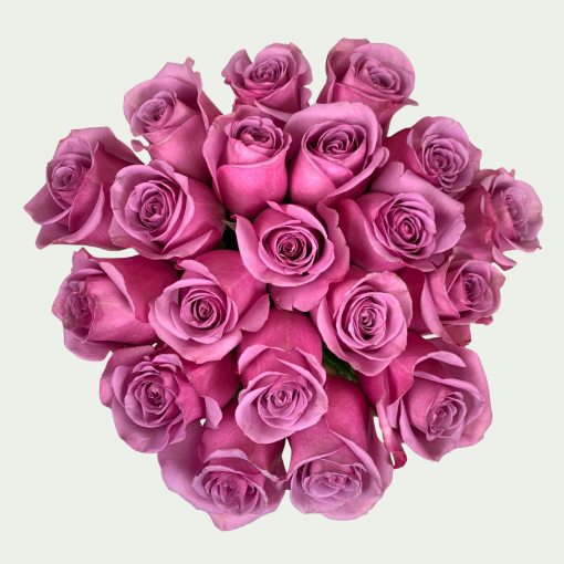 Picture of Pink Dream