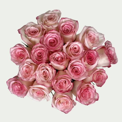 Picture of Pink Dream
