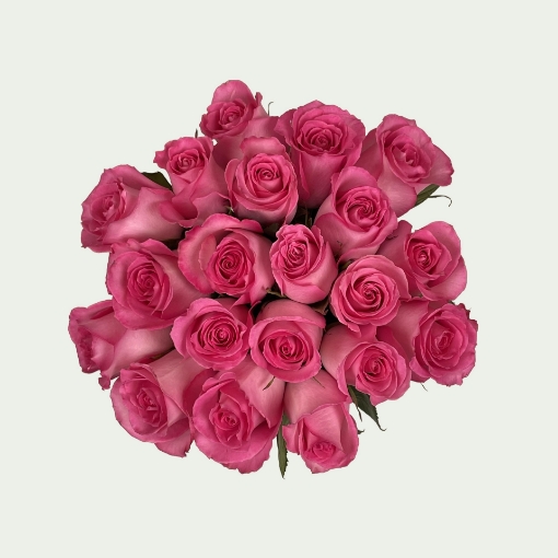 Picture of Pink Dream