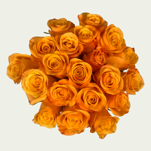 Picture of Vibrant 
