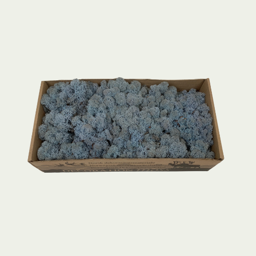 Picture of Ice Blue