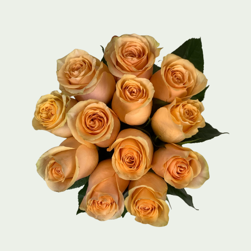 Picture of Nectarine S