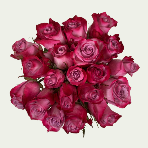 Picture of Deep Purple