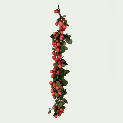 Picture of Malus