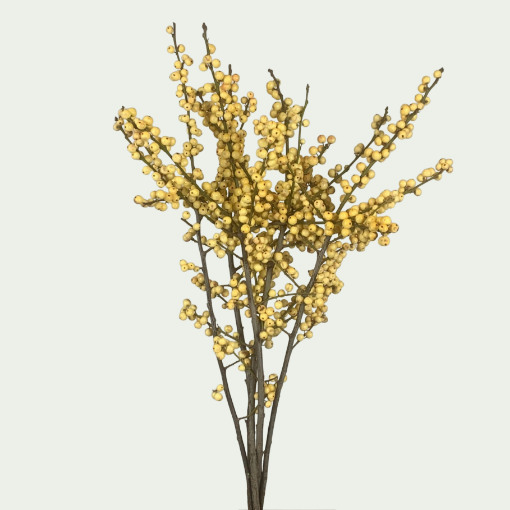 Picture of Gresgold